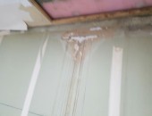silder_img2